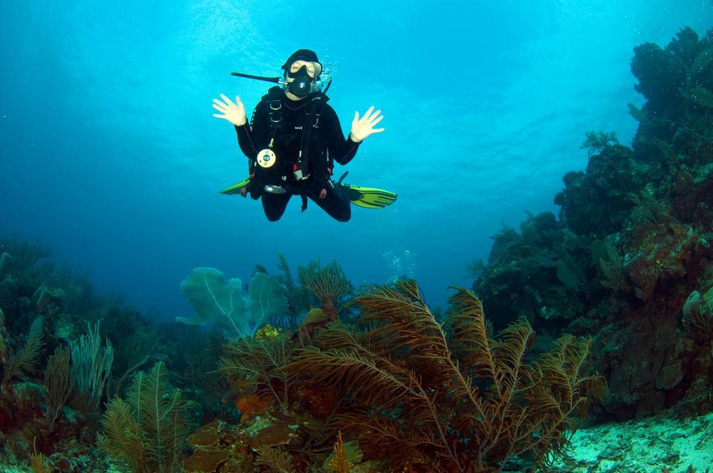 Mayan Princess Beach & Dive Resort Уест Бей Екстериор снимка